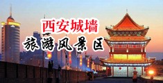 干美女的嫩B中国陕西-西安城墙旅游风景区